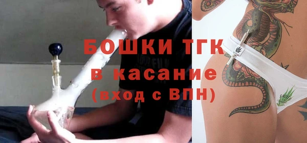 хмурый Алексеевка