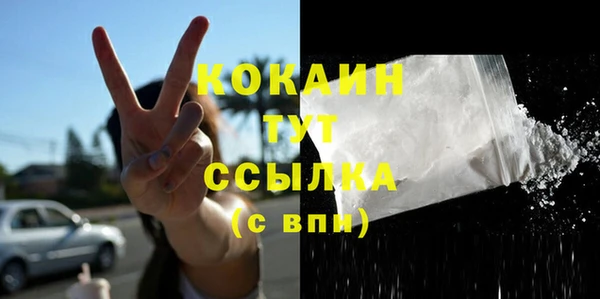 твердый Алексин
