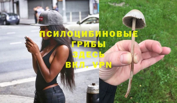 хмурый Алексеевка